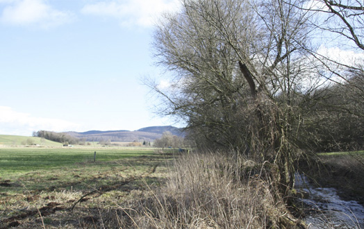 Blick in den Talabschnitt der Schildau, der dem Rückhaltebecken geopfert werden soll. Foto: Sven Ladwig.