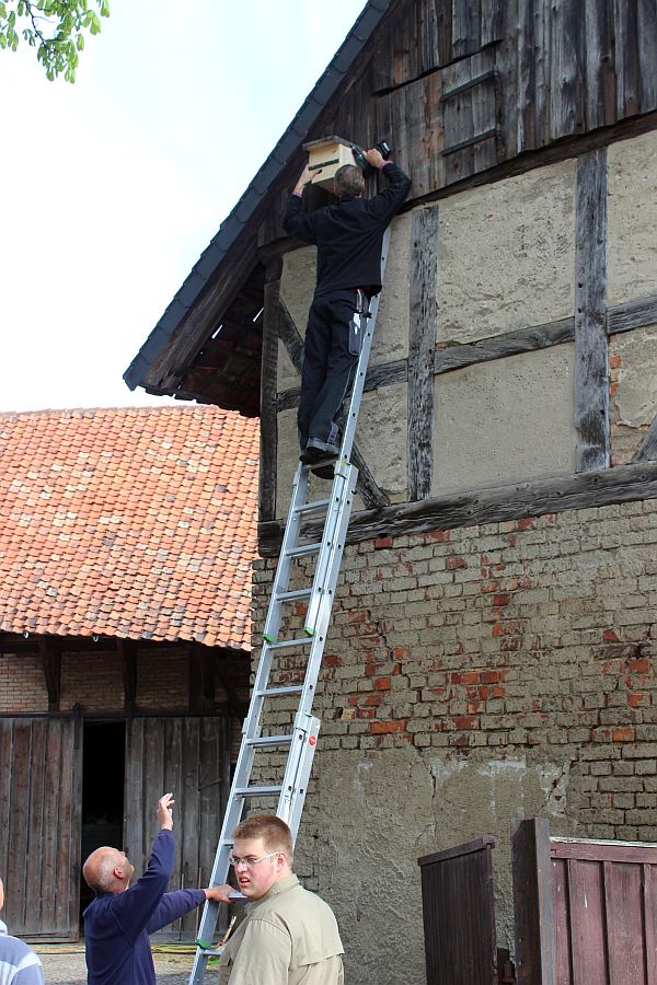 Anbringung der Nistkästen in Lochtum (Foto: Hohaus)
