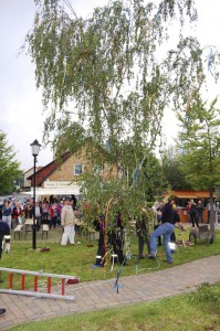 Lengde feiert Walpurgis und stellt den Maibaum auf, Foto: Susanne Hartmann.
