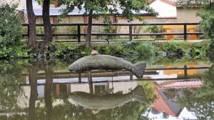13 Jahre stand die Fischskuptur im Dorfteich, Foto: Helmut Gleuel.