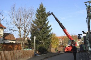 Weihnachtsbaum auf dem Vienenburger Marktplatz aufgestellt.