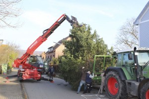 Weihnachtsbaum auf dem Vienenburger Marktplatz aufgestellt.