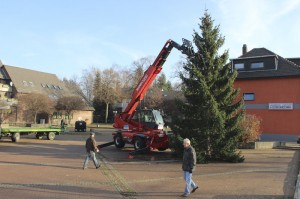 Weihnachtsbaum auf dem Vienenburger Marktplatz aufgestellt.