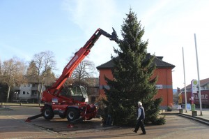 Weihnachtsbaum auf dem Vienenburger Marktplatz aufgestellt.