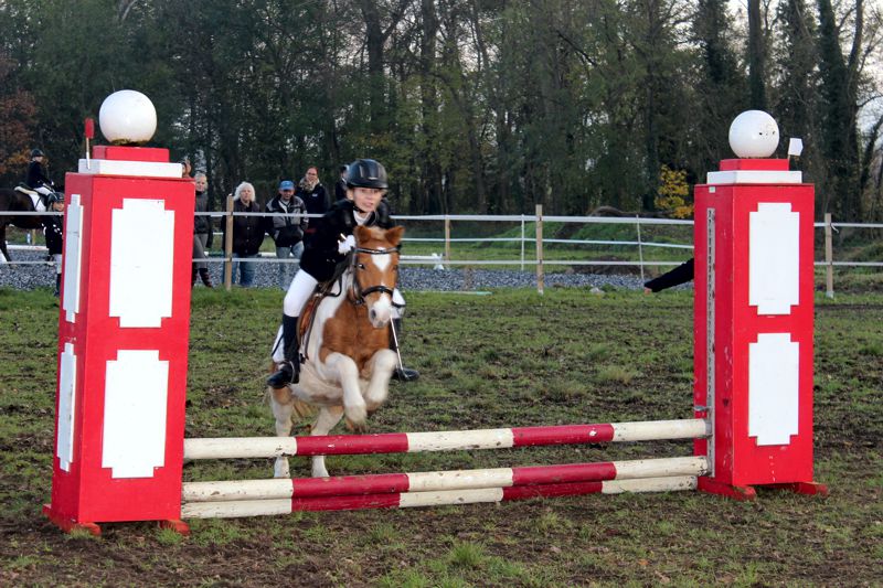 Reitertag des WSV Wiedelah