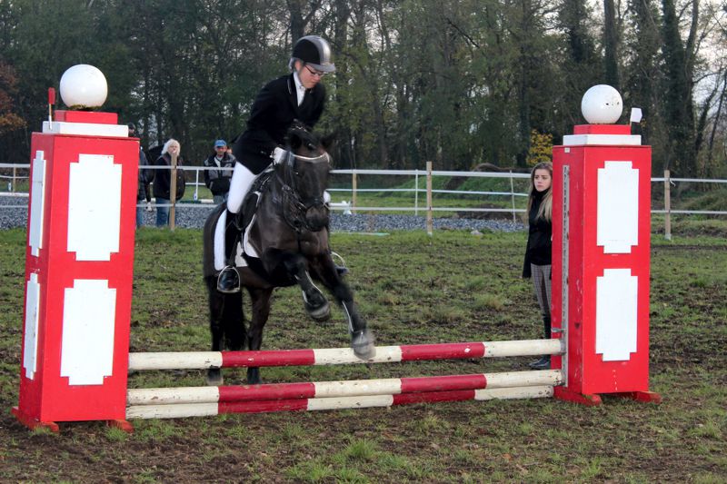 Reitertag des WSV Wiedelah