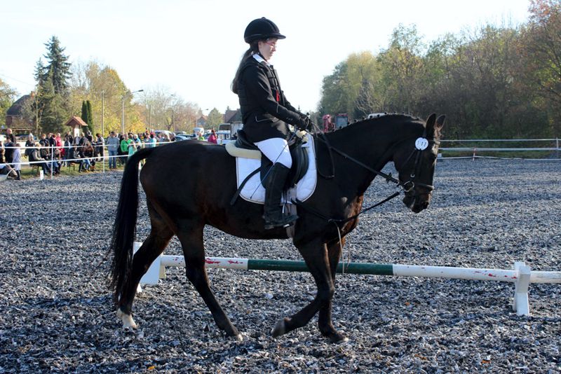 Reitertag des WSV Wiedelah