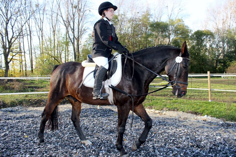 Reitertag des WSV Wiedelah