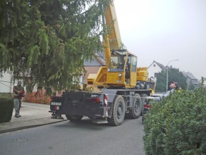 Aufstellen des Weihnachtsbaumes in Wiedelah.