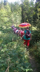 im Gänsemarsch durch die Wildnis