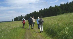 Bergwiese Buntenbock