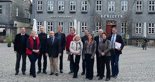 Neue Strategien zur Erhaltung des Tonschiefers in der Weltkulturerbestadt Goslar