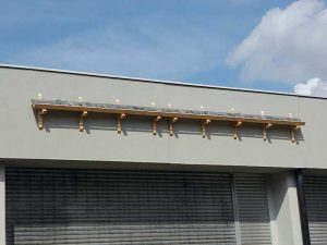 Neue Strategien zur Erhaltung des Tonschiefers in der Weltkulturerbestadt Goslar