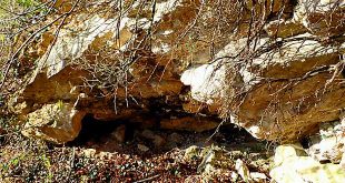 Frühlingsfoto vom Langenberg