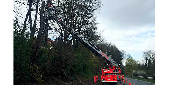Drehleiter aus Wolfenbüttel beim Absägen des Baumes