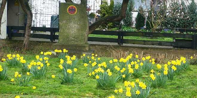Großer Blumenteppich in Wiedelah