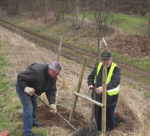 Es wurden 60 neue Obstbäume gepflanzt
