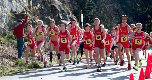 Offene Bezirksmeisterschaften im Strassenlauf