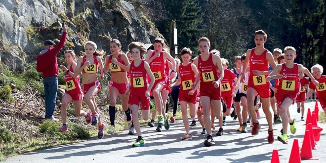 Offene Bezirksmeisterschaften im Strassenlauf