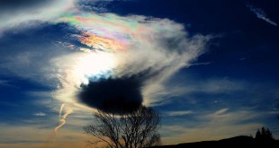 ein UFO über Bad Harzburg