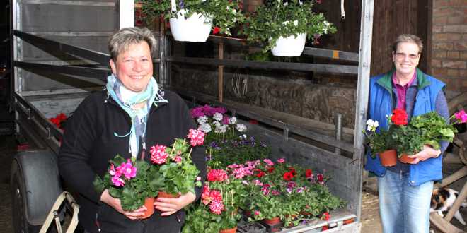 Dorfmarkt in Weddingen