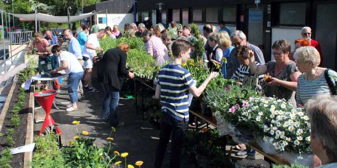 Saisoneröffnung im Stadtbad Hornburg