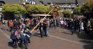 Maibaumaufstellen in Vienenburg