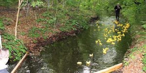 Entenrennen, mit Henning Schacht