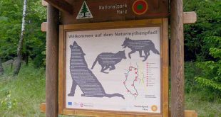 Naturmythenpfad Braunlage wieder geöffnet