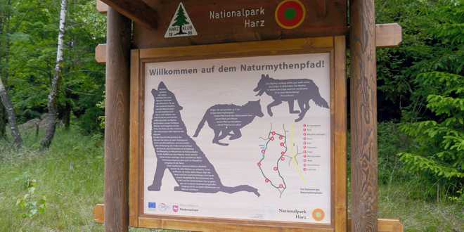 Naturmythenpfad Braunlage wieder geöffnet