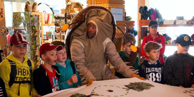 Europa in meiner Region