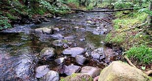 Die Ecker vor der Wasserentnahme für die Stimmecke