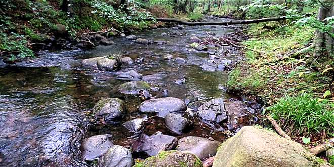 Die Ecker vor der Wasserentnahme für die Stimmecke