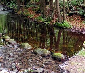 An dieser-Stelle-beginnt-die-Stimmecke