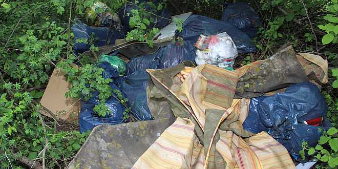Müll wild entsorgt