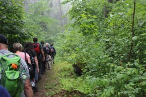 Wanderfreunde aus Hornburg