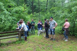 Wanderfreunde aus Hornburg