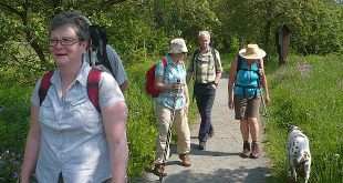 Wanderung rund um die Bergbauteiche