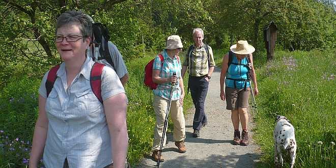 Wanderung rund um die Bergbauteiche