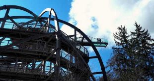 Auf dem Baumwipfelpfad wurde am 19. Juli der 300.000ste Besucher begrüßt - Einstiegskrone