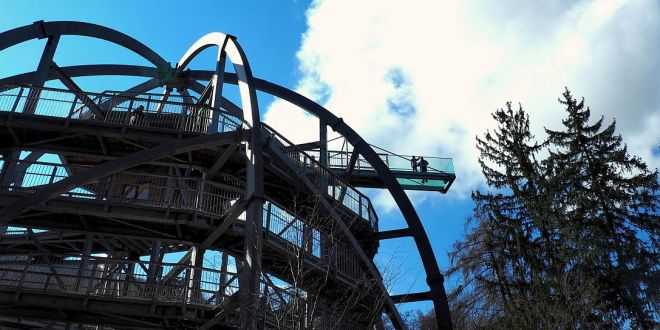 Auf dem Baumwipfelpfad wurde am 19. Juli der 300.000ste Besucher begrüßt - Einstiegskrone
