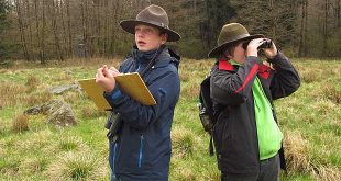 Foto von Sandra Meckbach-Wolter