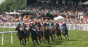 137. Bad Harzburger Galopprennwoche