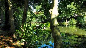 Schlewecker Dorfteich