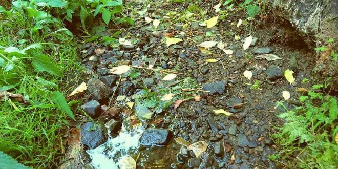 Schlewecker Dorfteich