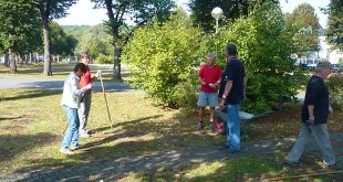 Dorfgemeinschaft Wiedelah pflanzte wieder Blumen