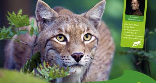 Nationalpark-Kalender 2017