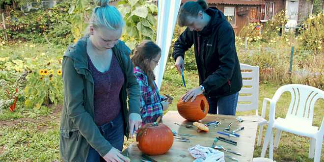 Kürbisfest in Lochtum