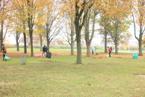 Arbeitseinsatz Laub im Schladener Freibad