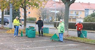 Arbeitseinsatz Laub im Schladener Freibad